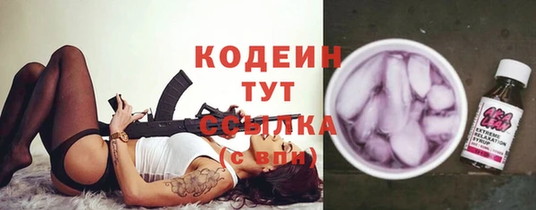 хмурый Няндома