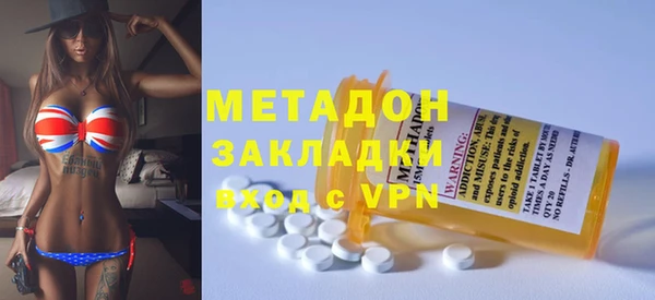 индика Алексин