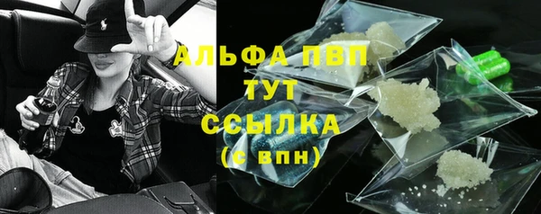 индика Алексин