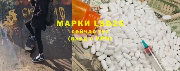 индика Алексин