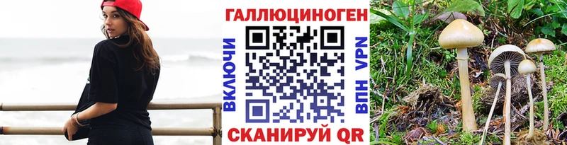 Псилоцибиновые грибы прущие грибы  Ясный 